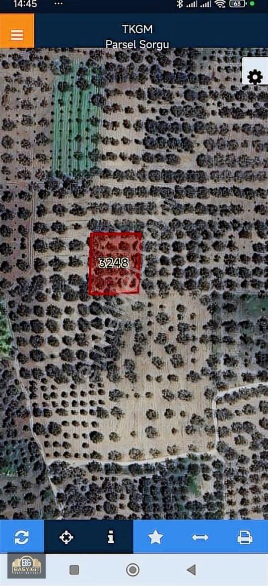 Akhisar Süleymanlı Mh.1340 M2.müstakil Tapulu Zeytinlik Satılıkt