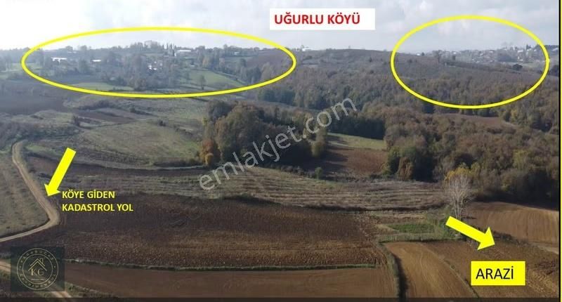 Sakarya Kaynarca Uğurluda 2683 M2 Kadastrol Yol Cepheli Arazi - Görsel 2
