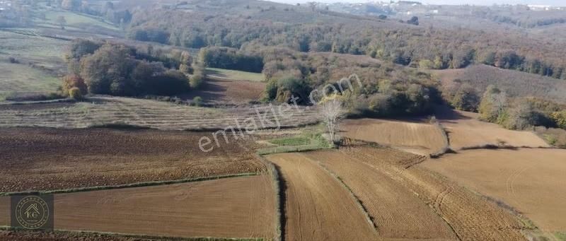 Sakarya Kaynarca Uğurluda 2683 M2 Kadastrol Yol Cepheli Arazi - Görsel 17
