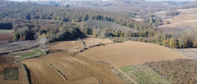 Sakarya Kaynarca Uğurluda 2683 M2 Kadastrol Yol Cepheli Arazi - Görsel 8