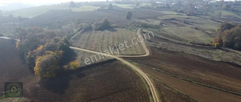 Sakarya Kaynarca Uğurluda 2683 M2 Kadastrol Yol Cepheli Arazi - Görsel 3