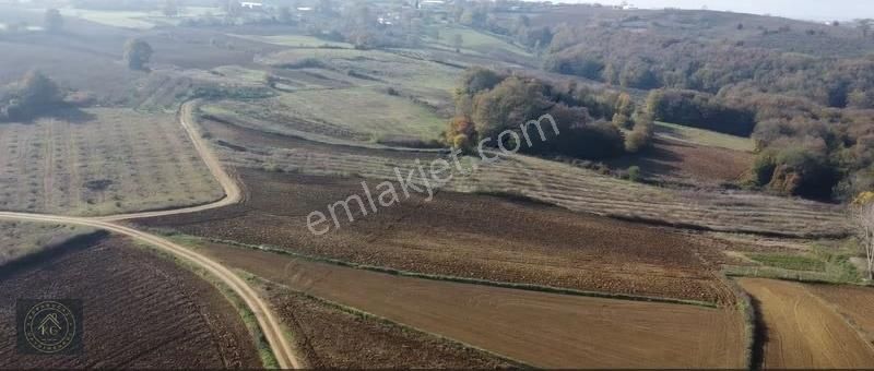 Sakarya Kaynarca Uğurluda 2683 M2 Kadastrol Yol Cepheli Arazi
