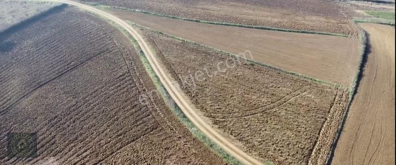 Sakarya Kaynarca Uğurluda 2683 M2 Kadastrol Yol Cepheli Arazi - Görsel 14