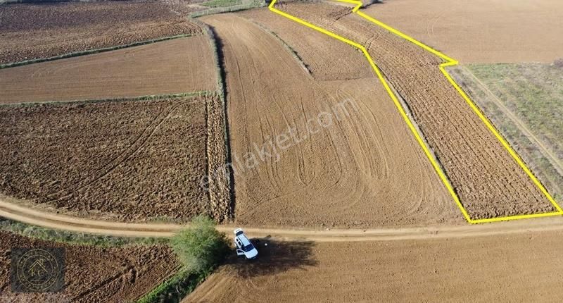 Sakarya Kaynarca Uğurluda 2683 M2 Kadastrol Yol Cepheli Arazi - Görsel 6