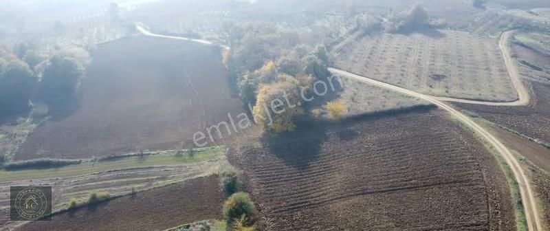 Sakarya Kaynarca Uğurluda 2683 M2 Kadastrol Yol Cepheli Arazi - Görsel 11