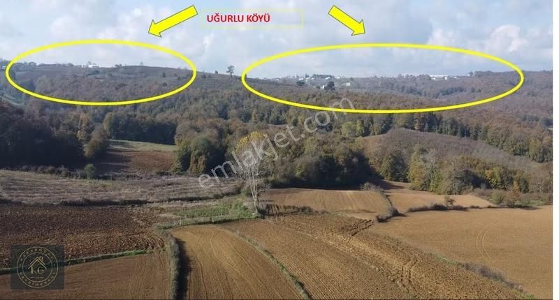 Sakarya Kaynarca Uğurluda 2683 M2 Kadastrol Yol Cepheli Arazi - Görsel 10