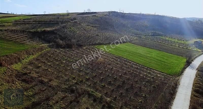 Kandıra Sinanlı Bilalli De Toplulaştırmada Yola Bir Parsel Arazi - Görsel 6