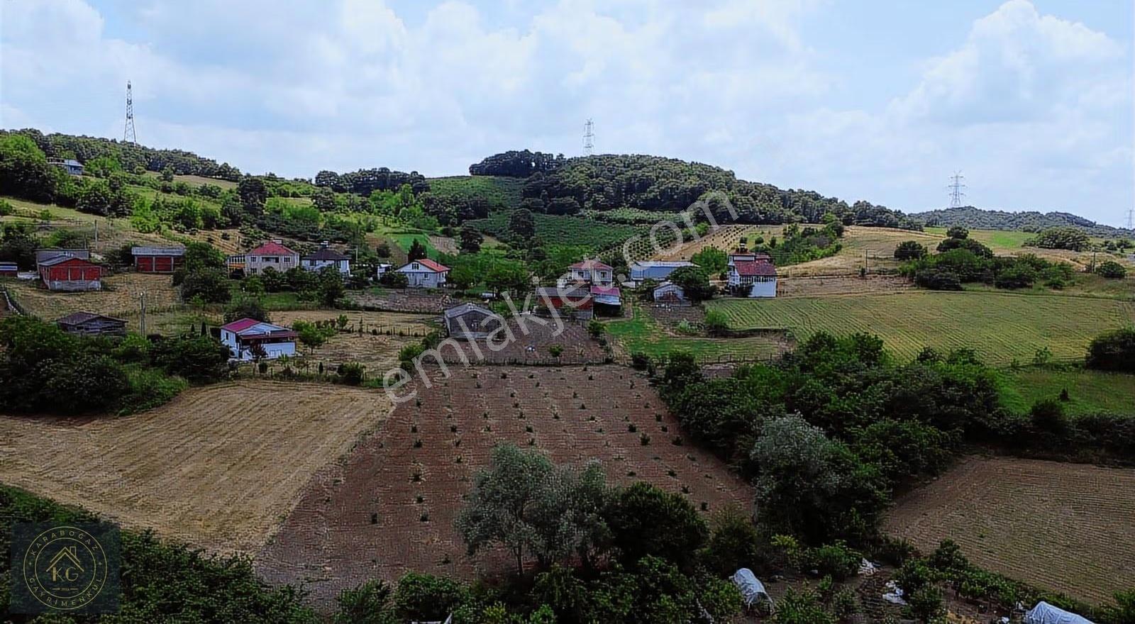 Sakarya Kaynarca Sarıbeyli De 808 M2 %40 İmarlı Arsa - Görsel 3
