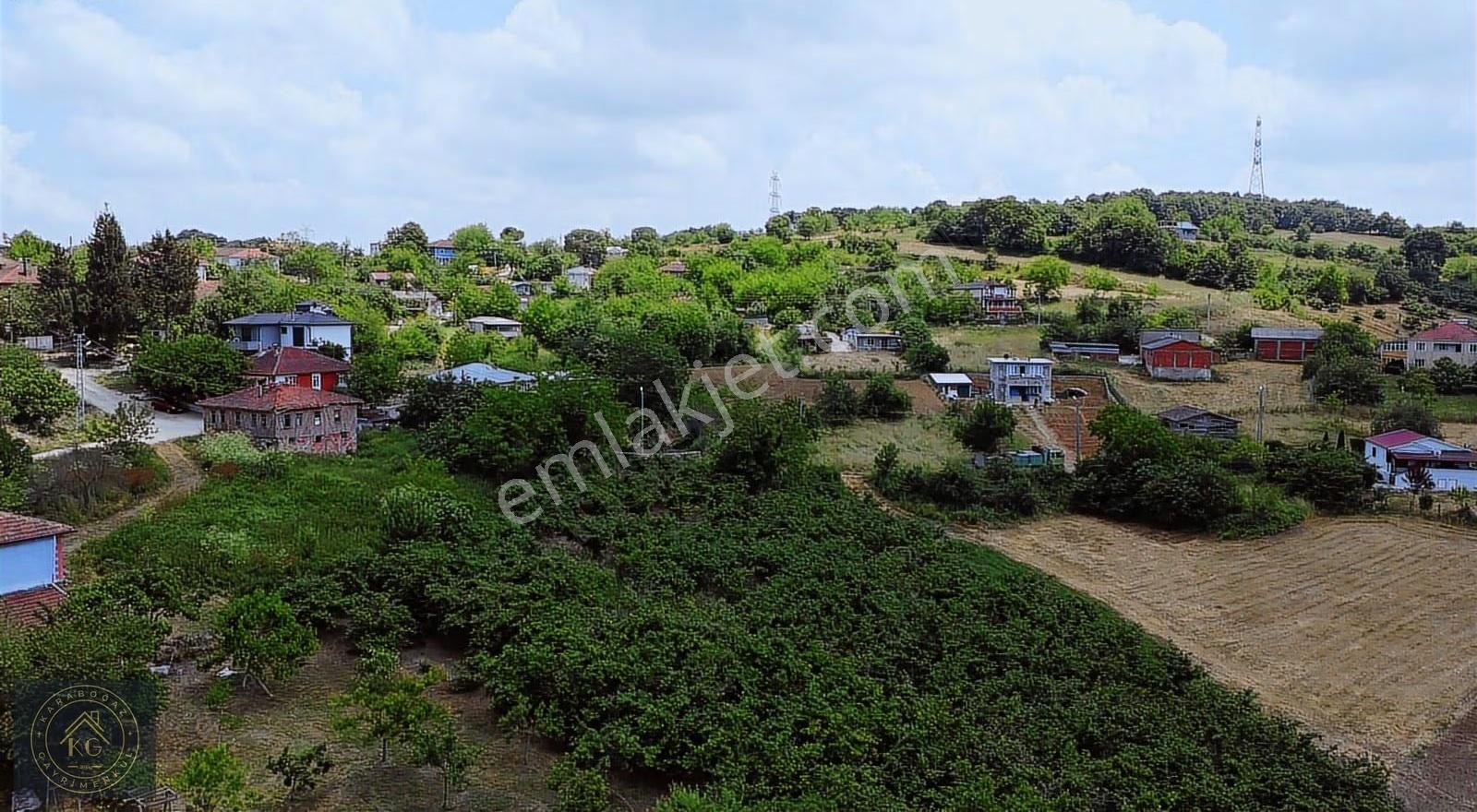 Sakarya Kaynarca Sarıbeyli De 808 M2 %40 İmarlı Arsa - Görsel 12