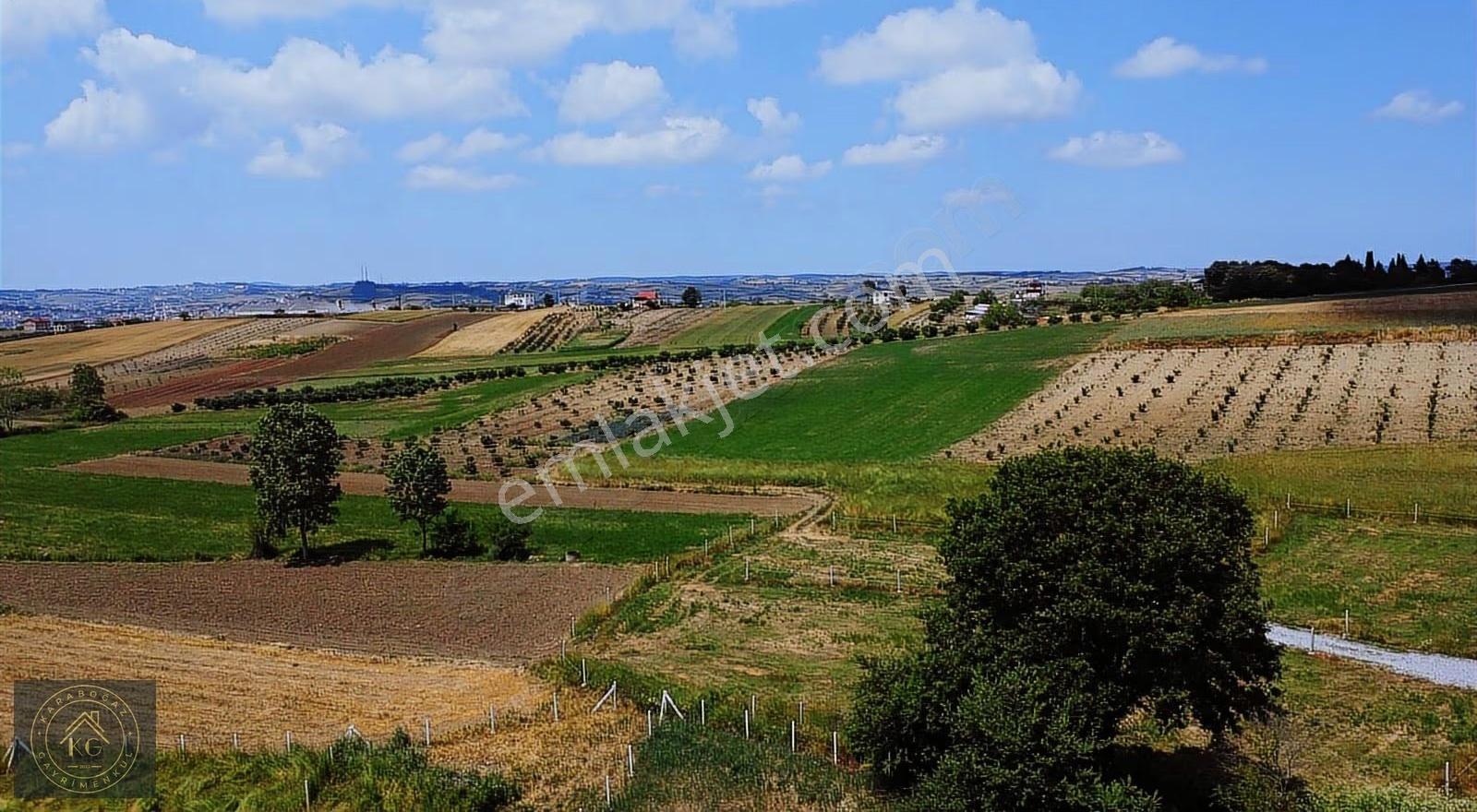 Sakarya Kaynarca Sarıbeyli De 808 M2 %40 İmarlı Arsa - Görsel 5