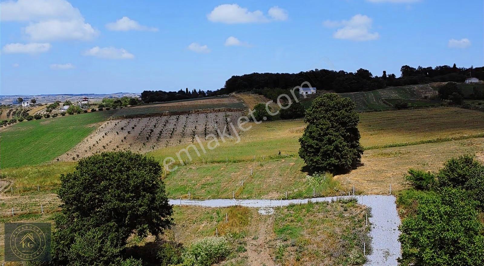 Sakarya Kaynarca Sarıbeyli De 808 M2 %40 İmarlı Arsa - Görsel 10