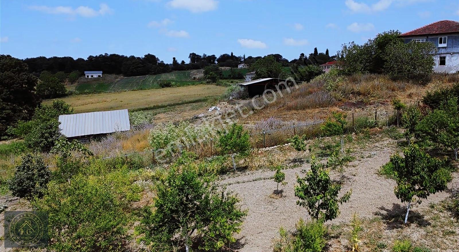 Sakarya Kaynarca Sarıbeyli De 808 M2 %40 İmarlı Arsa - Görsel 7