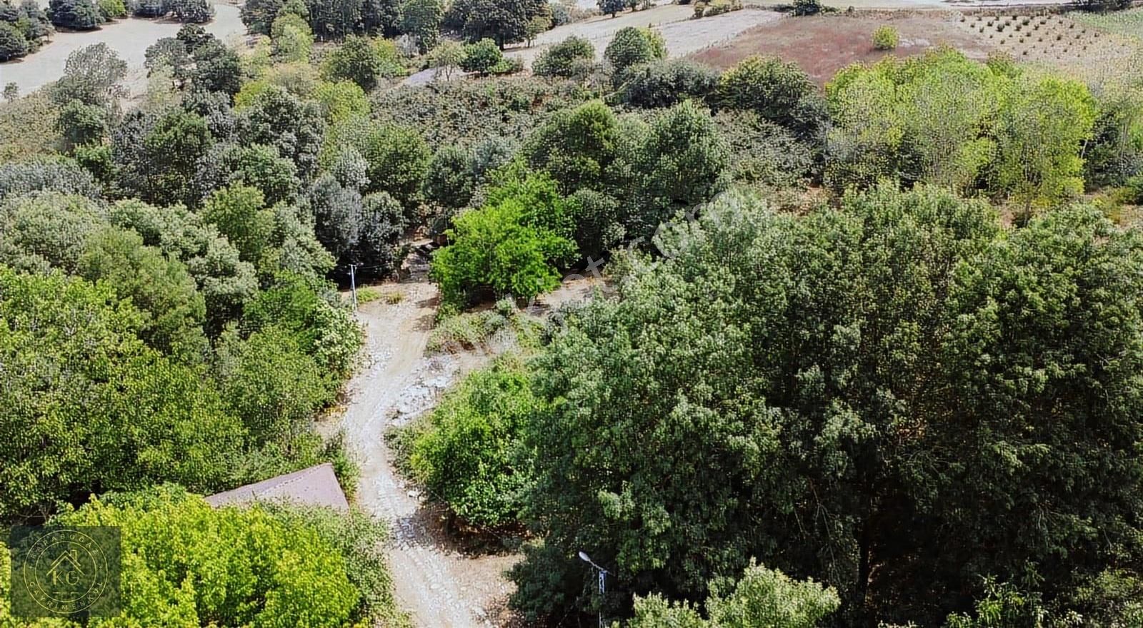 Sakarya Kaynarca Osmanlı Mah 530 M2 Hisse Parseller - Görsel 2