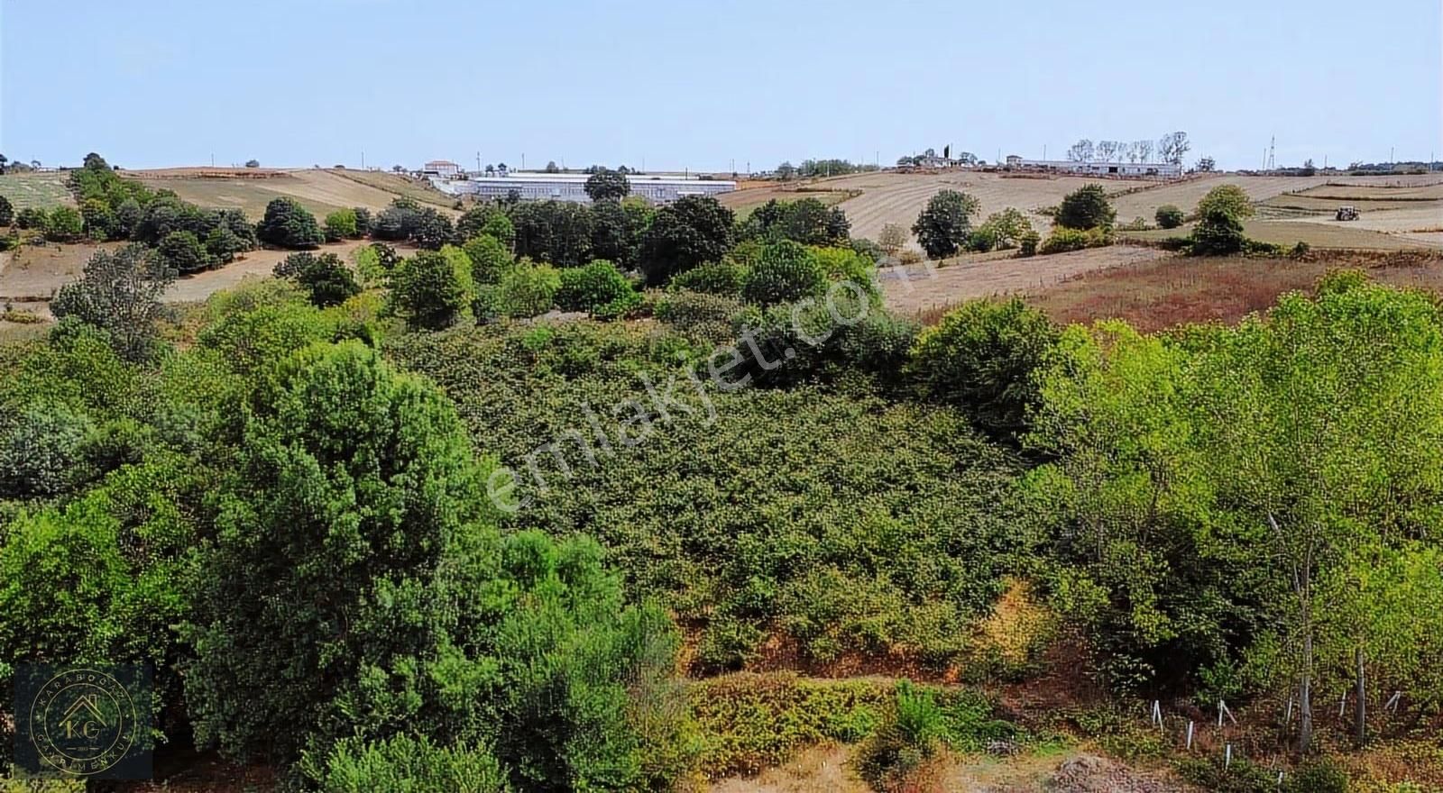 Sakarya Kaynarca Osmanlı Mah 530 M2 Hisse Parseller - Görsel 9