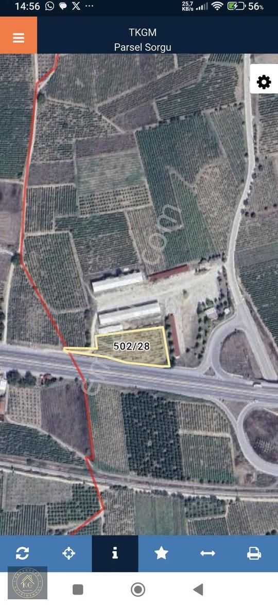 Pamukovada Antalya -eskişehir D 650 Oto Yoluna Cepheli Üzüm Bağı - Görsel 12