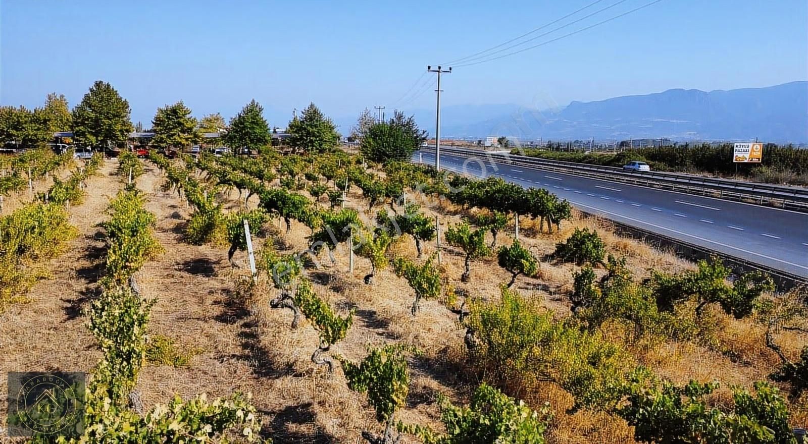 Pamukovada Antalya -eskişehir D 650 Oto Yoluna Cepheli Üzüm Bağı