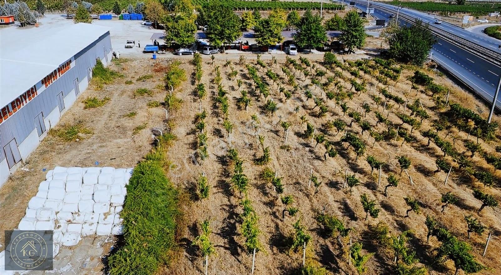 Pamukovada Antalya -eskişehir D 650 Oto Yoluna Cepheli Üzüm Bağı - Görsel 32