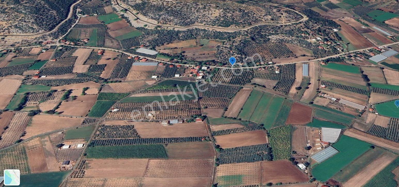 Goldhouse Dan Satılık Kabaağaç Da Köy İçi İmarlı Arsa - Görsel 5