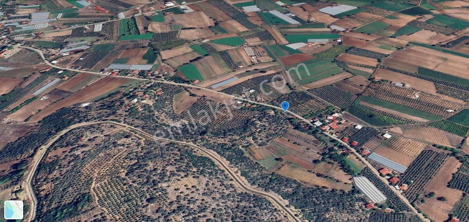 Goldhouse Dan Satılık Kabaağaç Da Köy İçi İmarlı Arsa - Görsel 3