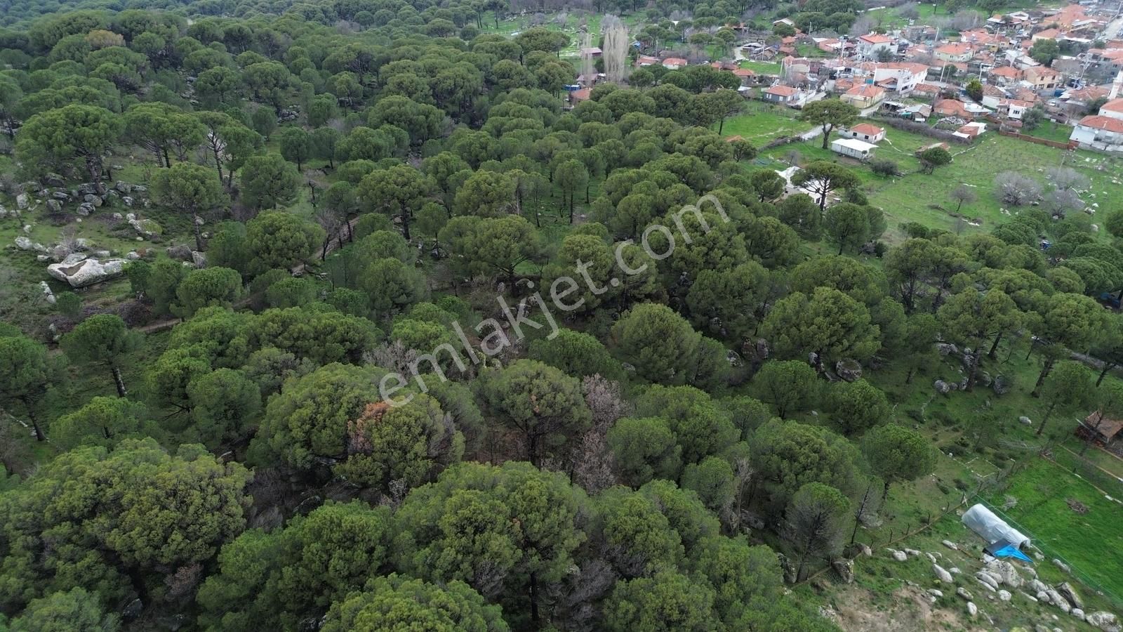 Bergama Kozak Hisar Mah.'de Satılık 5.390m2 Konut İmarlı Arsa - Görsel 4