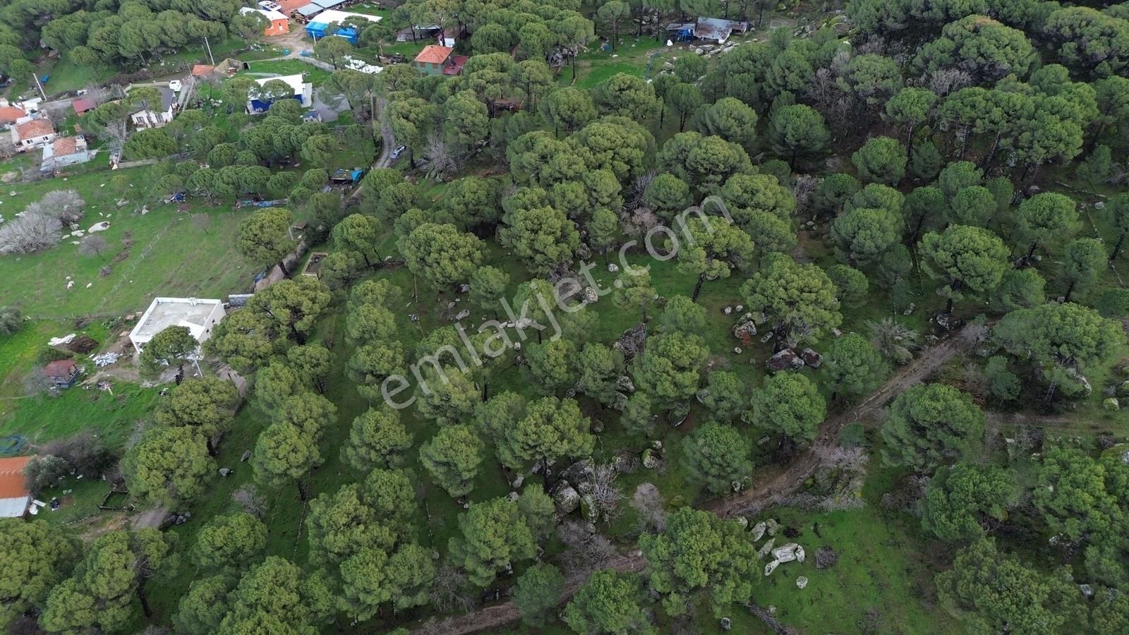 Bergama Kozak Hisar Mah.'de Satılık 5.390m2 Konut İmarlı Arsa - Görsel 21