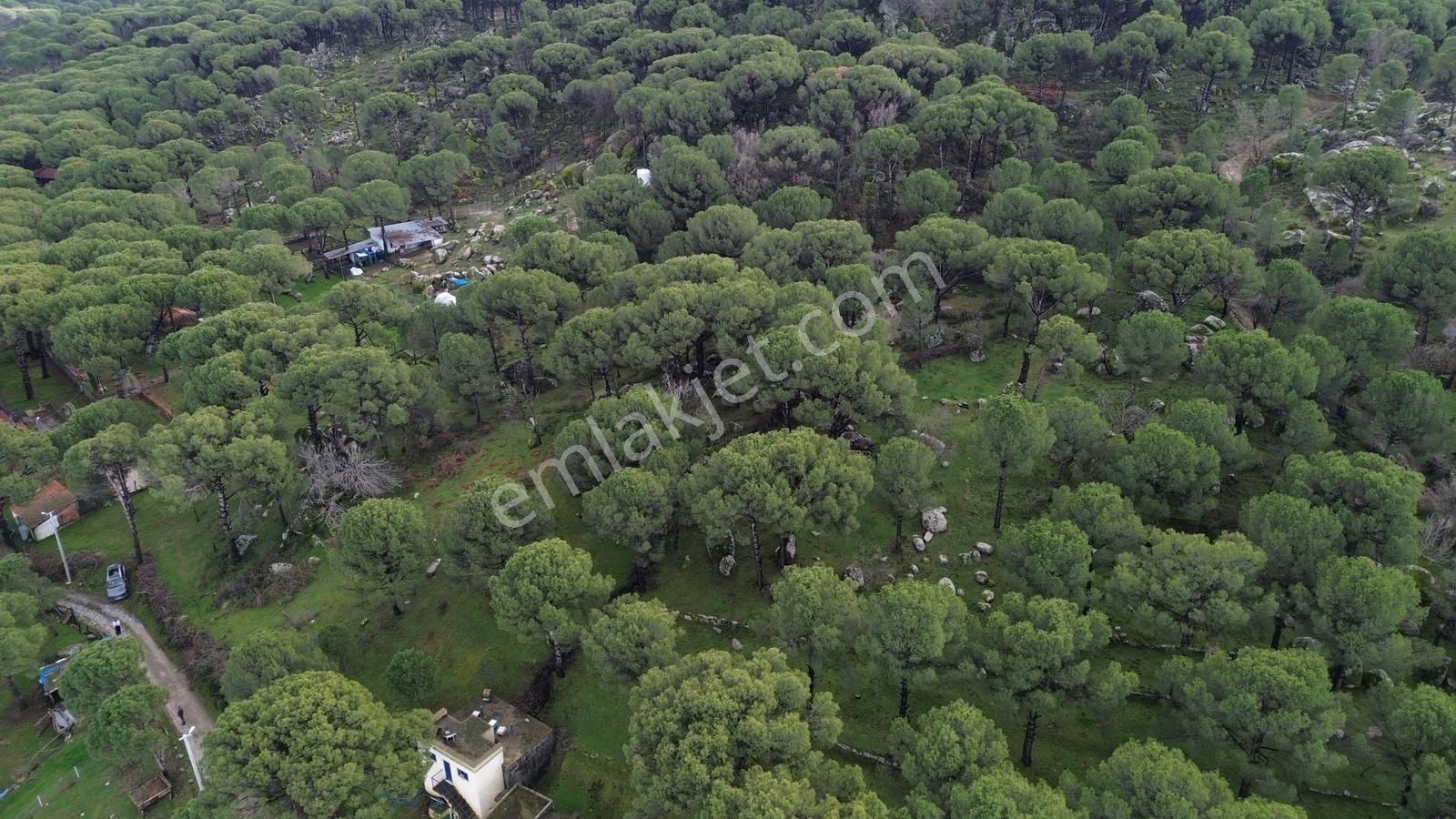 Bergama Kozak Hisar Mah.'de Satılık 5.390m2 Konut İmarlı Arsa - Görsel 35