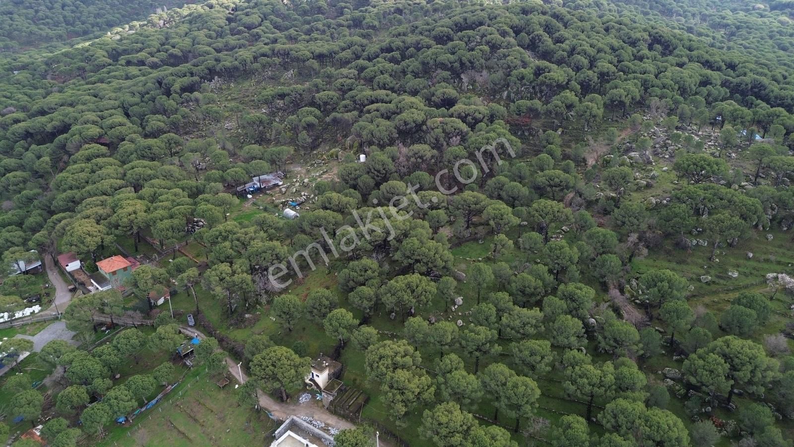 Bergama Kozak Hisar Mah.'de Satılık 5.390m2 Konut İmarlı Arsa - Görsel 33