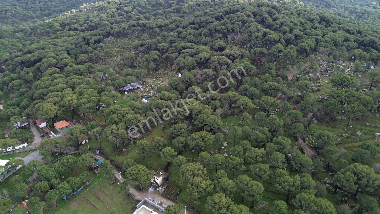 Bergama Kozak Hisar Mah.'de Satılık 5.390m2 Konut İmarlı Arsa - Görsel 30