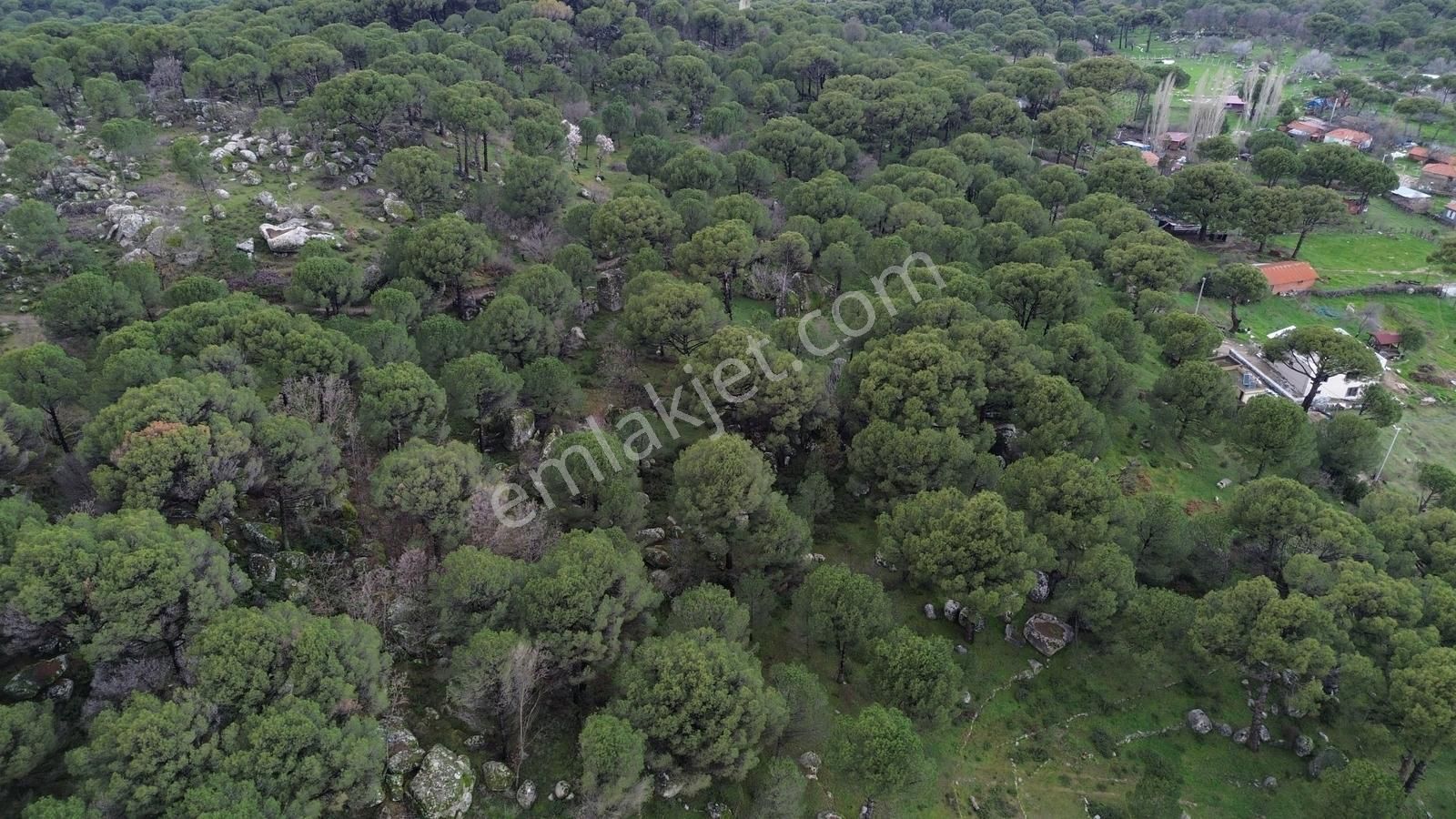 Bergama Kozak Hisar Mah.'de Satılık 5.390m2 Konut İmarlı Arsa - Görsel 13