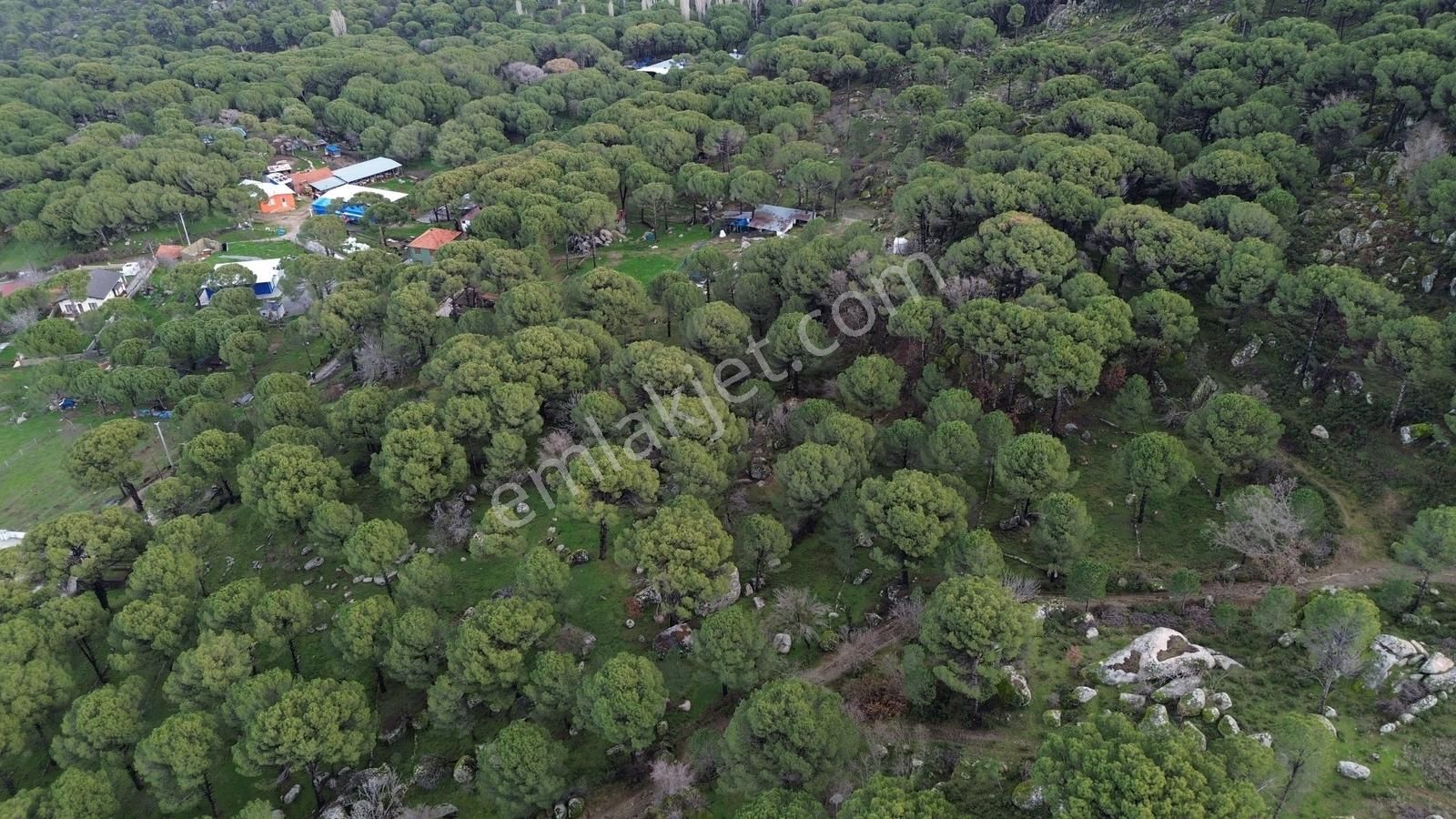 Bergama Kozak Hisar Mah.'de Satılık 5.390m2 Konut İmarlı Arsa - Görsel 27