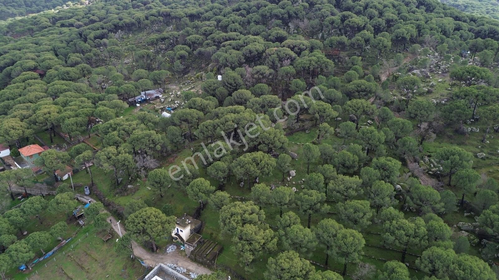 Bergama Kozak Hisar Mah.'de Satılık 5.390m2 Konut İmarlı Arsa - Görsel 31