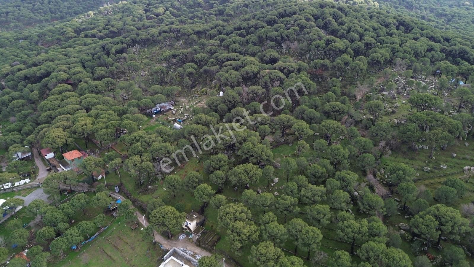 Bergama Kozak Hisar Mah.'de Satılık 5.390m2 Konut İmarlı Arsa - Görsel 29