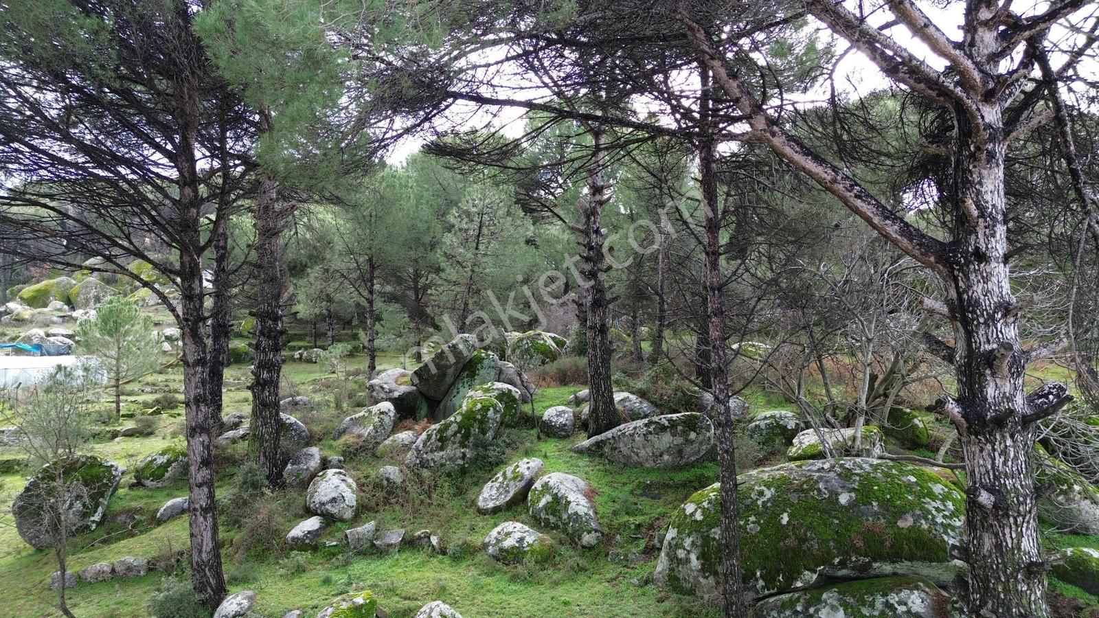 Bergama Kozak Hisar Mah.'de Satılık 5.390m2 Konut İmarlı Arsa