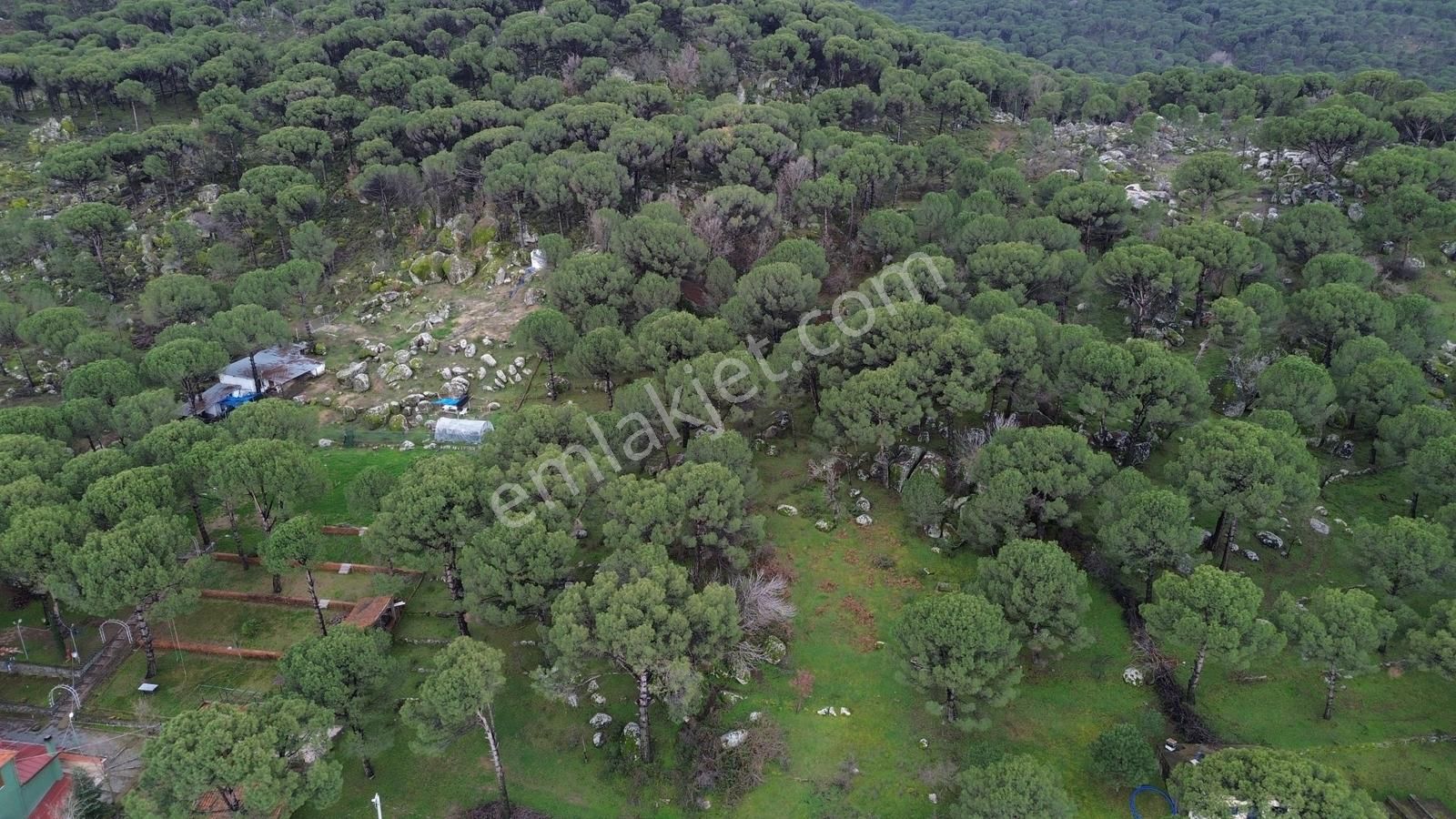 Bergama Kozak Hisar Mah.'de Satılık 5.390m2 Konut İmarlı Arsa - Görsel 34