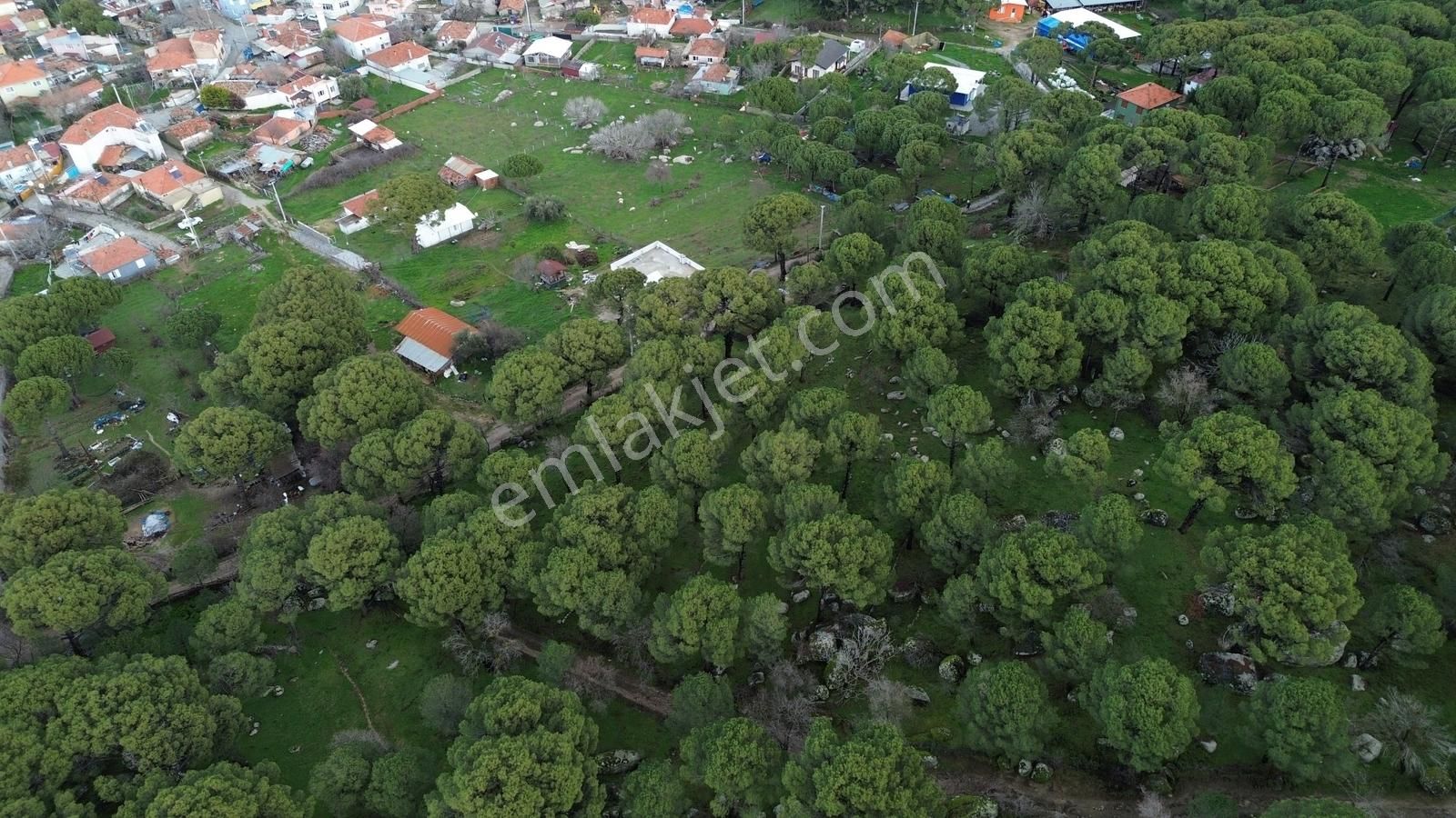 Bergama Kozak Hisar Mah.'de Satılık 5.390m2 Konut İmarlı Arsa - Görsel 22