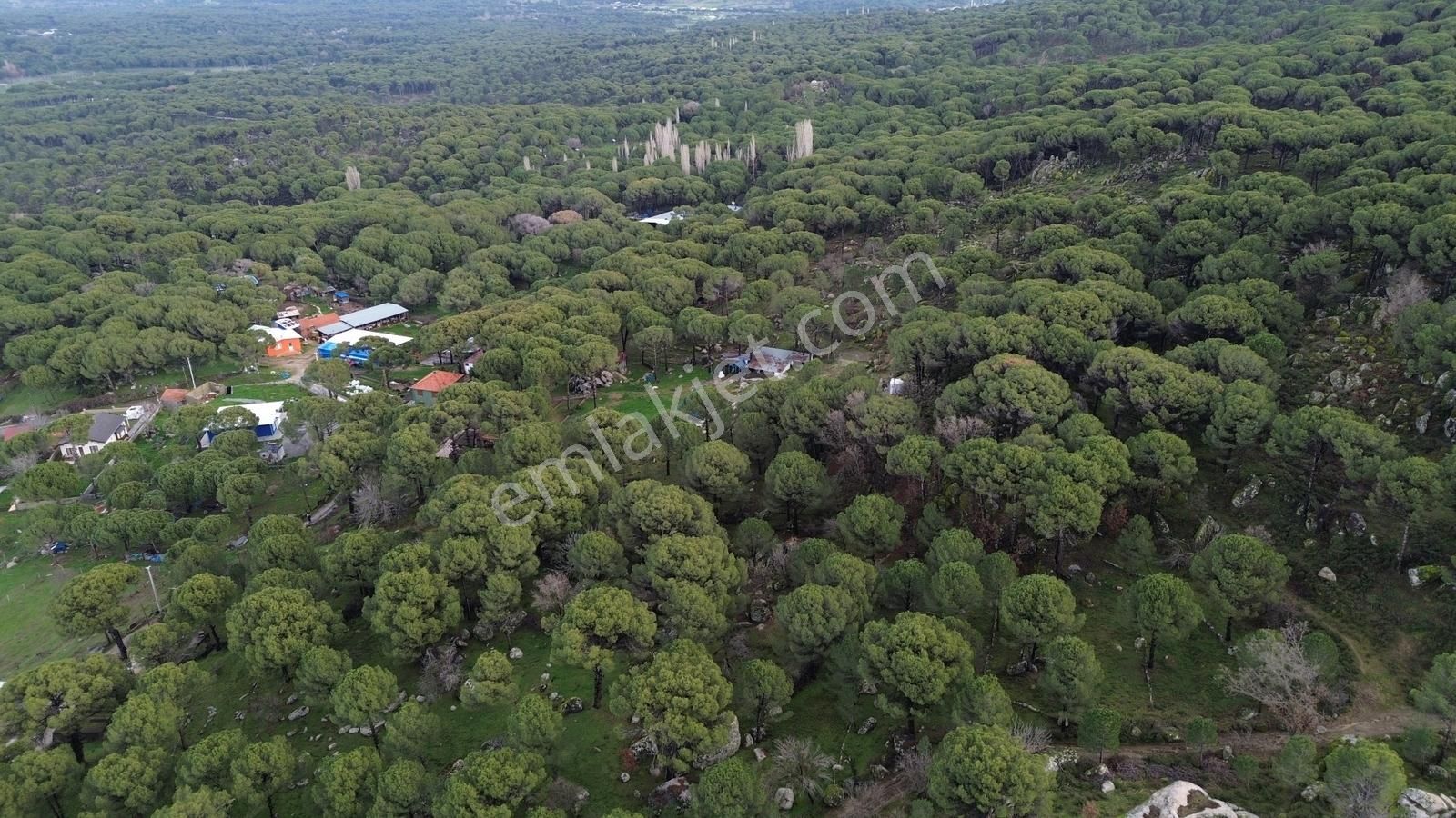 Bergama Kozak Hisar Mah.'de Satılık 5.390m2 Konut İmarlı Arsa - Görsel 7