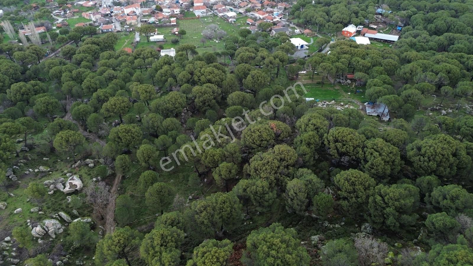 Bergama Kozak Hisar Mah.'de Satılık 5.390m2 Konut İmarlı Arsa - Görsel 6