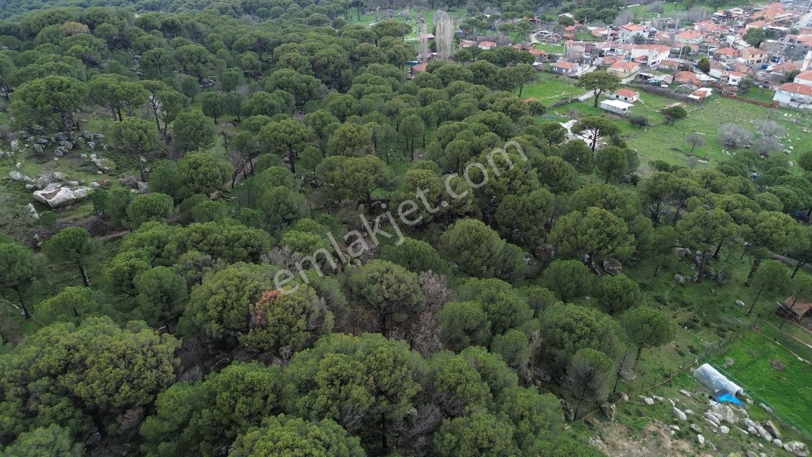 Bergama Kozak Hisar Mah.'de Satılık 5.390m2 Konut İmarlı Arsa - Görsel 15