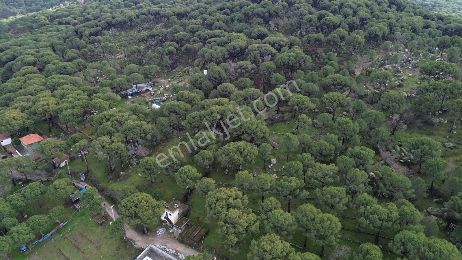 Bergama Kozak Hisar Mah.'de Satılık 5.390m2 Konut İmarlı Arsa - Görsel 32