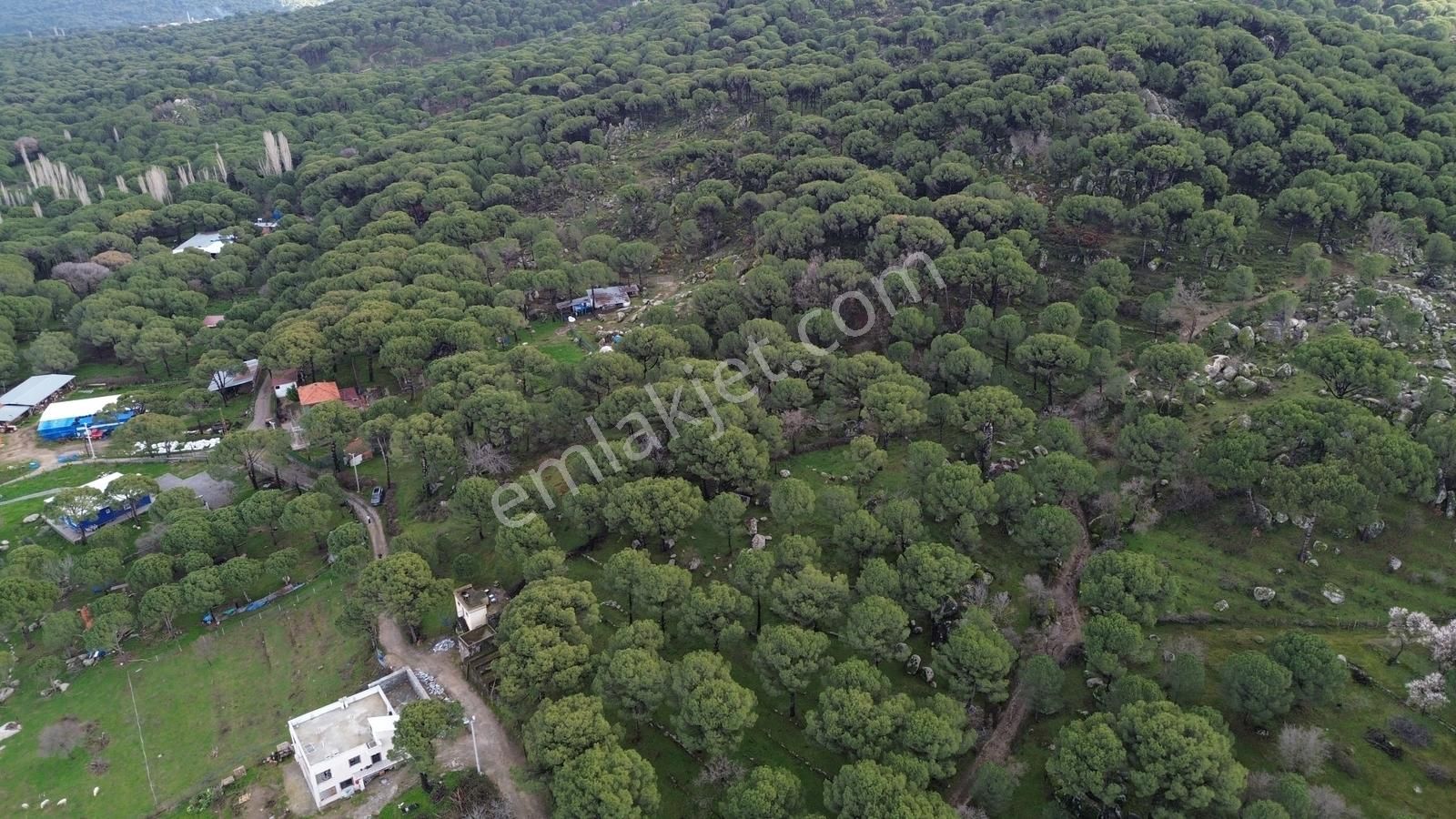 Bergama Kozak Hisar Mah.'de Satılık 5.390m2 Konut İmarlı Arsa - Görsel 28