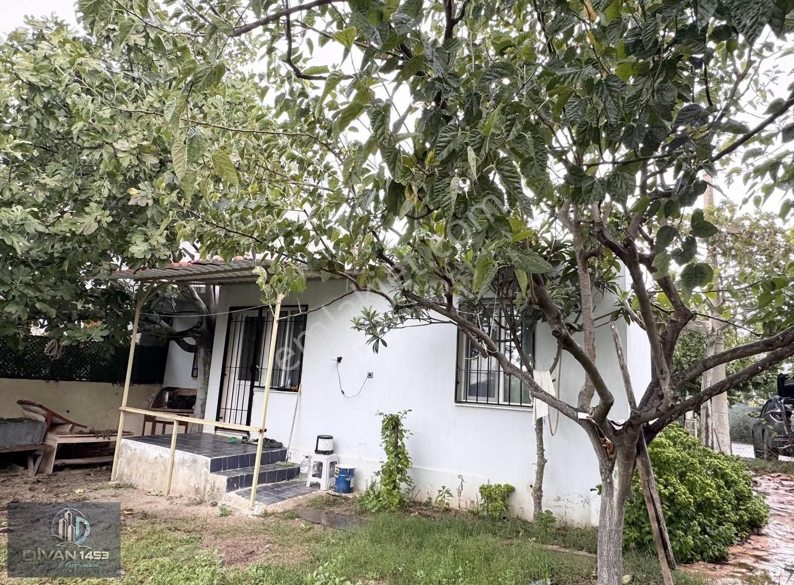 Ürkmez 'de Denize 200 M Mesafede Müstakıl Ev