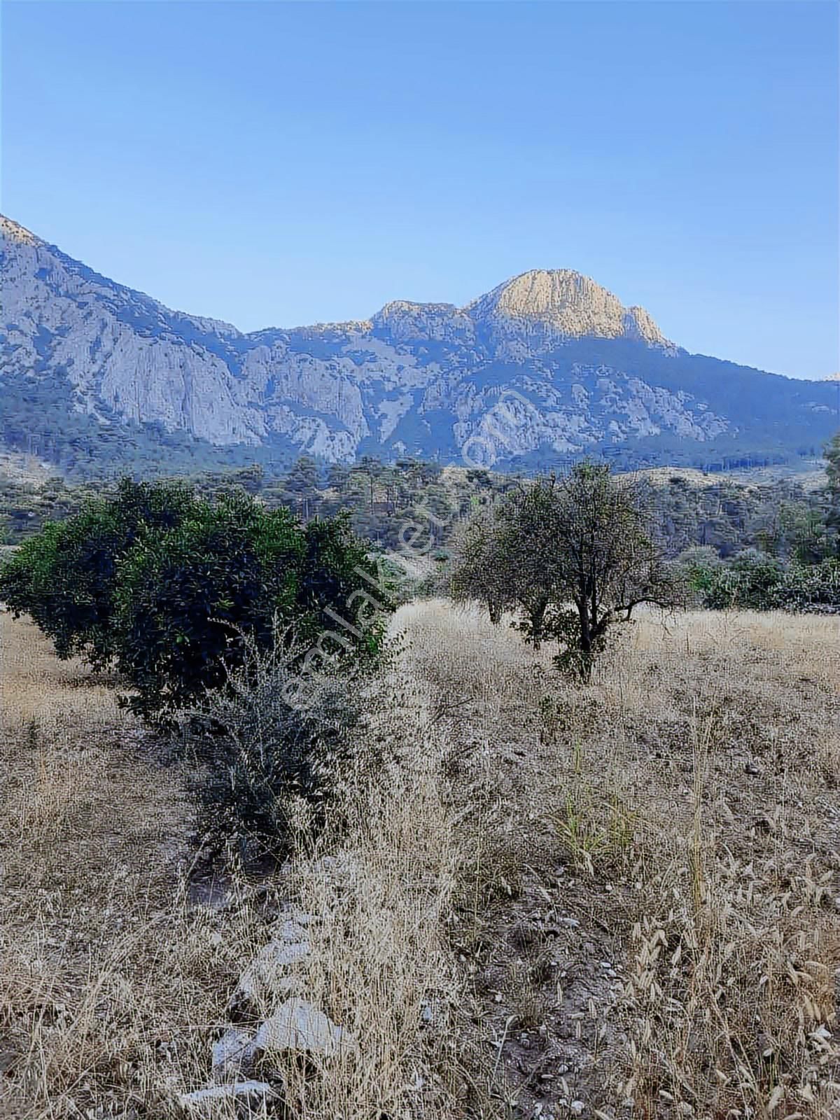 Hacisekiler Muhteşem Manzaralı Tek Tapulu Satılık Tarla - Görsel 20