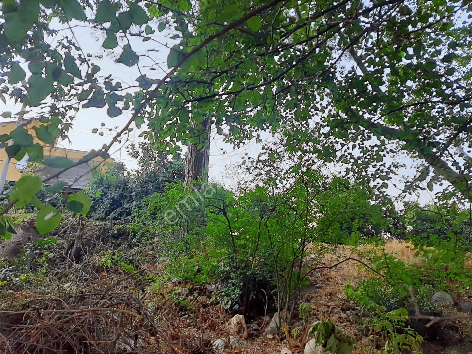 Hacisekiler Muhteşem Manzaralı Tek Tapulu Satılık Tarla - Görsel 27