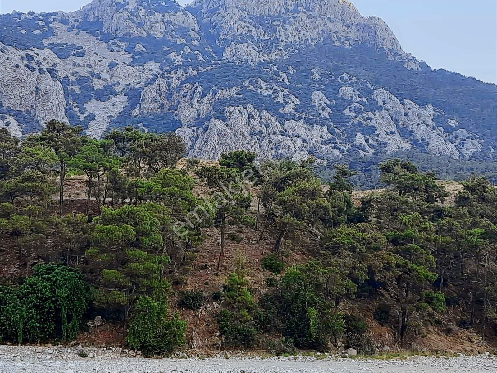 Hacisekiler Muhteşem Manzaralı Tek Tapulu Satılık Tarla - Görsel 10