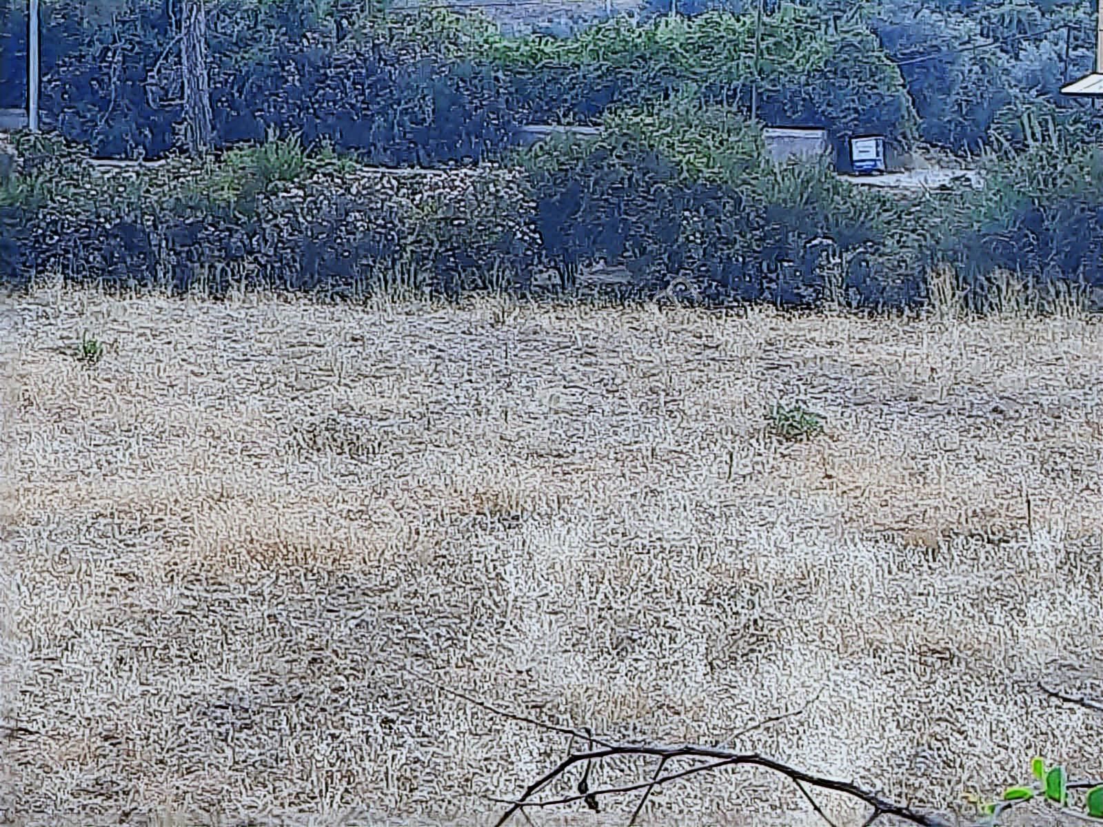 Hacisekiler Muhteşem Manzaralı Tek Tapulu Satılık Tarla - Görsel 21