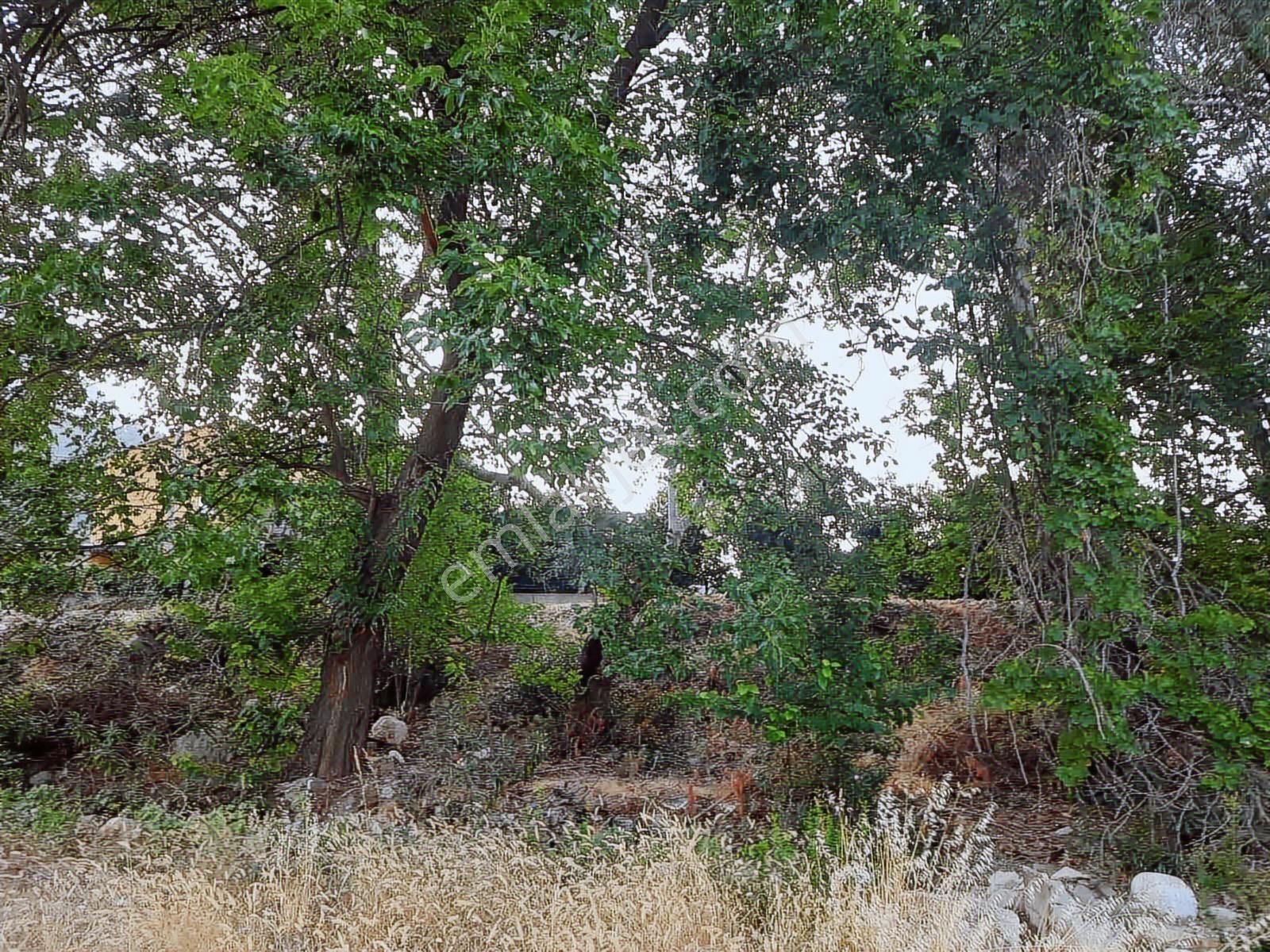 Hacisekiler Muhteşem Manzaralı Tek Tapulu Satılık Tarla - Görsel 33