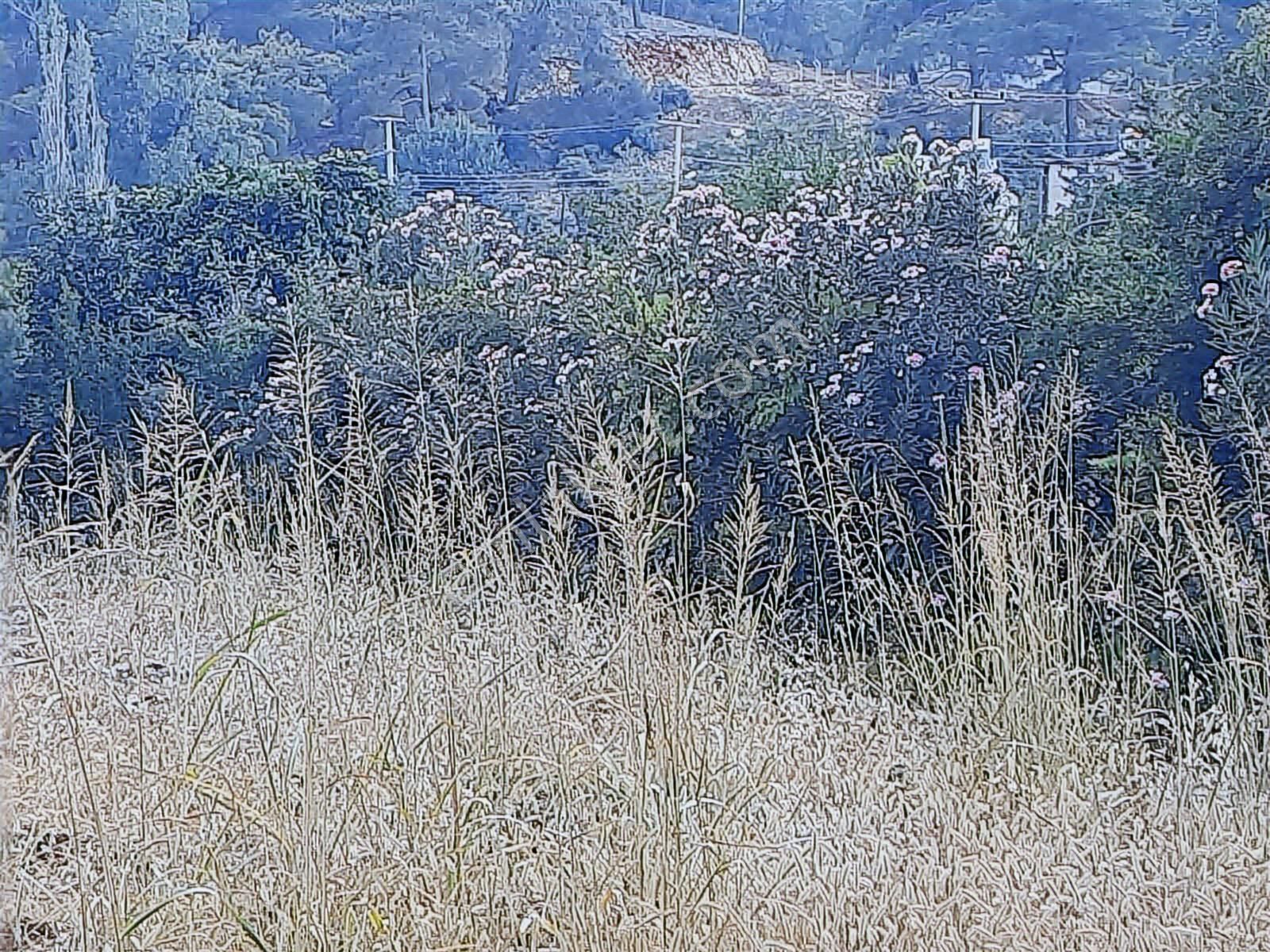 Hacisekiler Muhteşem Manzaralı Tek Tapulu Satılık Tarla - Görsel 28