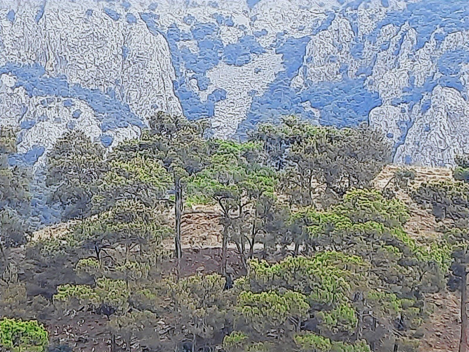 Hacisekiler Muhteşem Manzaralı Tek Tapulu Satılık Tarla - Görsel 6
