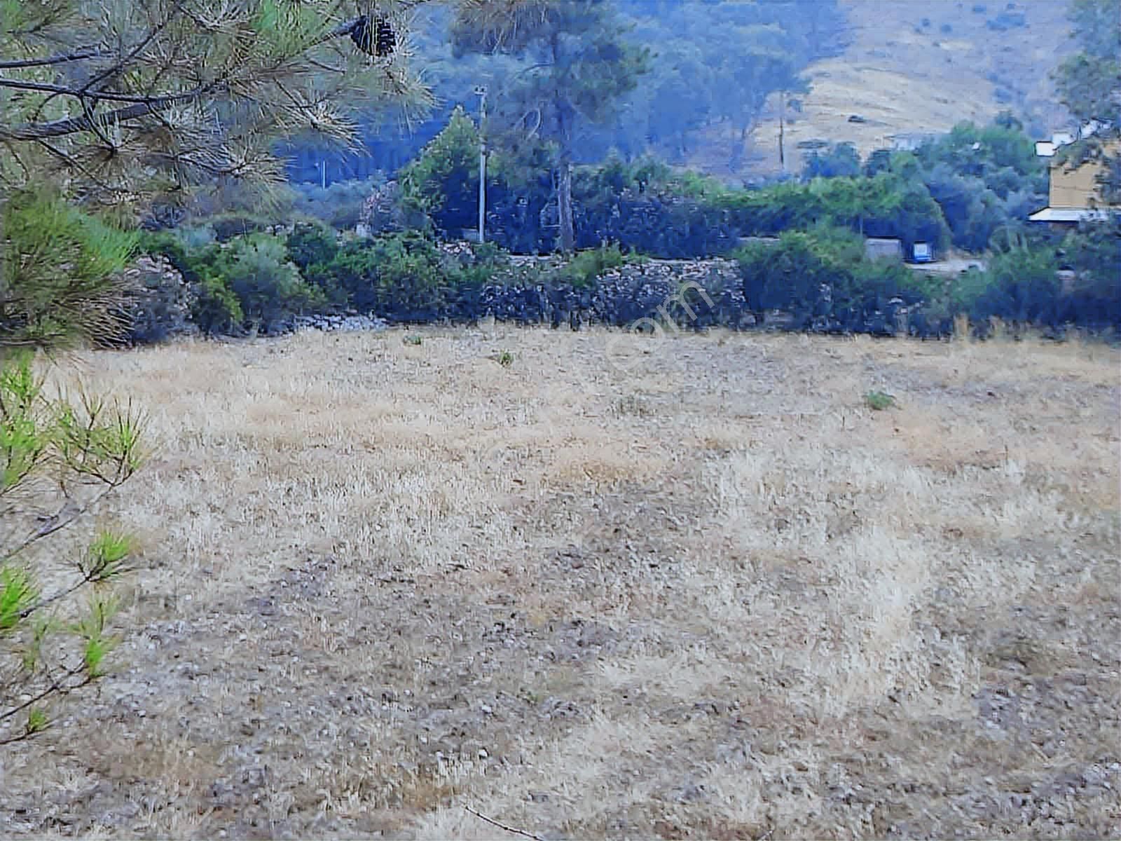 Hacisekiler Muhteşem Manzaralı Tek Tapulu Satılık Tarla - Görsel 22