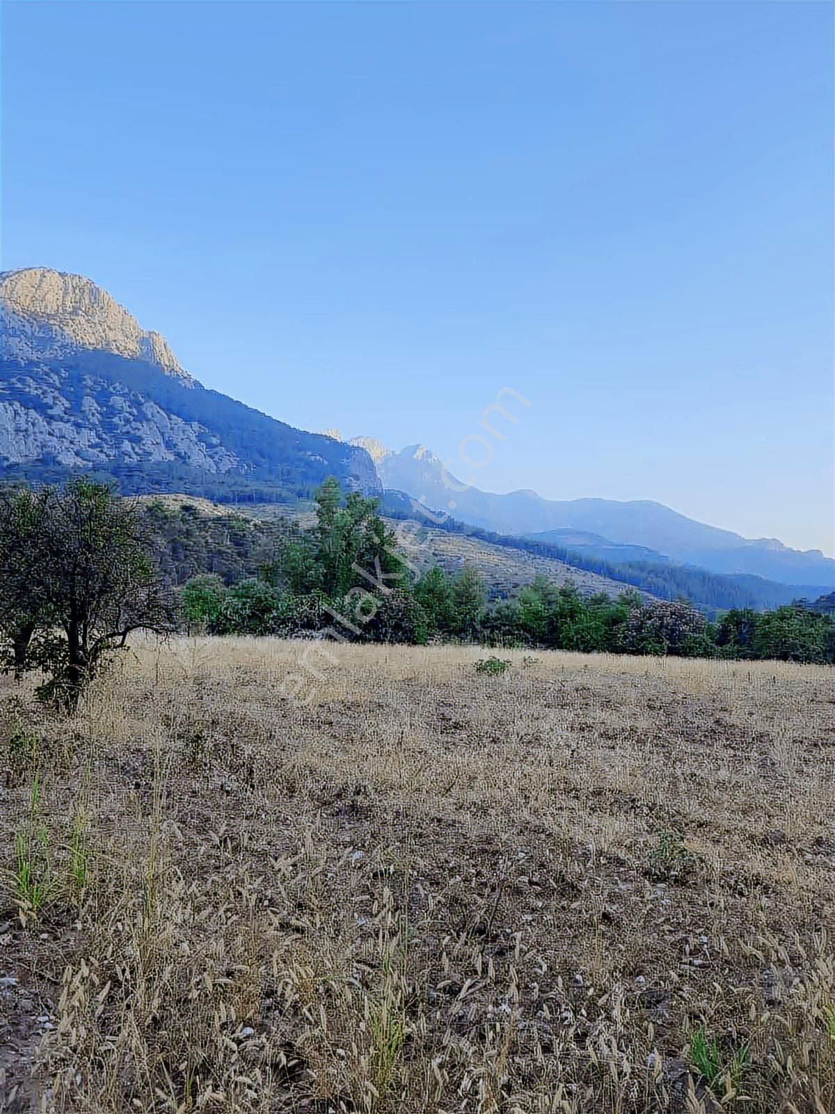 Hacisekiler Muhteşem Manzaralı Tek Tapulu Satılık Tarla - Görsel 29
